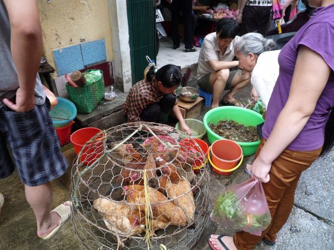 8日目最終日です。ハノイ飯いよいよラストスパートです！<br />ハンザ市場対面の路地はちょっとした生鮮食料品通りだった。<br />こんな活きのいい鶏肉をしめてすぐ料理すりゃあ、そりゃうまいに決まってる！<br />日本でもまだ鶏を生きたまま買って帰るってあるのかな？