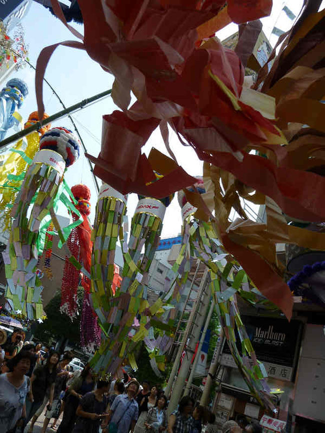 空と風の有る七夕飾り