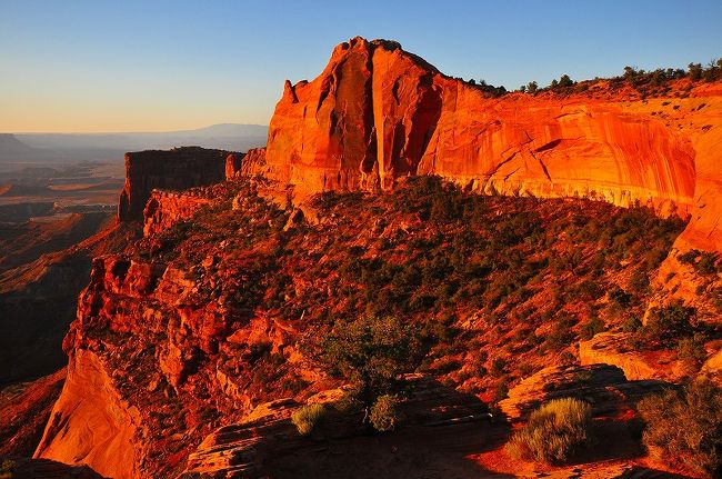 太陽に照らされ綺麗。