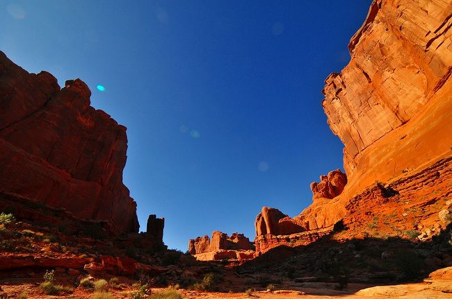 逆から見たところ。