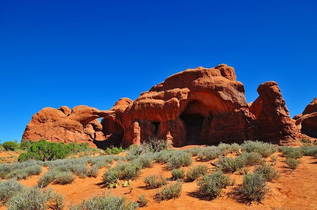 駐車場から歩いて５分ぐらい。