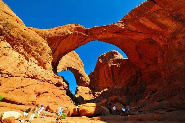 人の大きさからどれだけ大きいかお分かり頂けるかと。