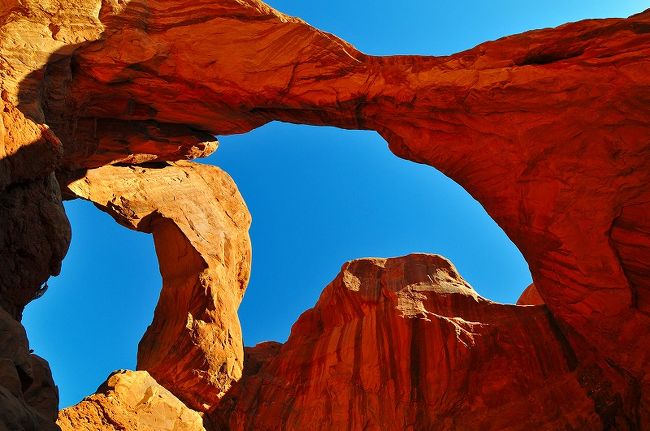 広角レンズのお陰でこんな風に撮れます。