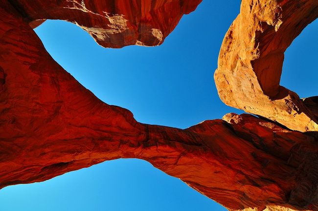 真上を見たところ。