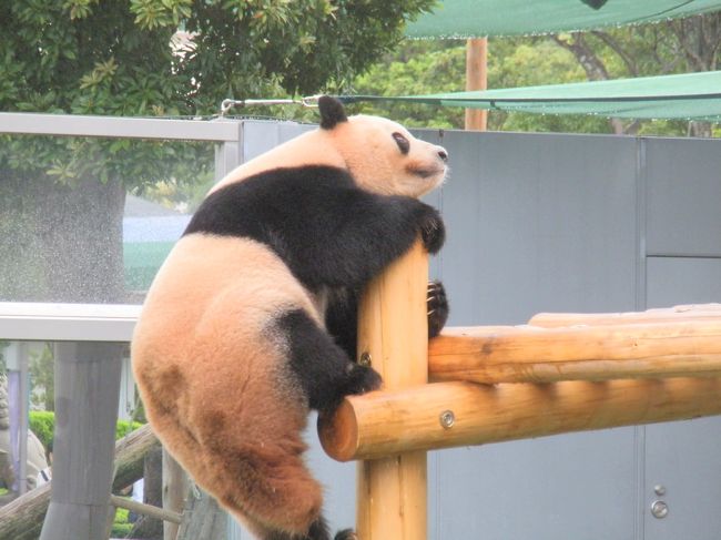 うーん！いい！