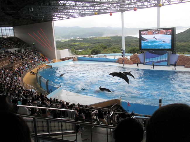 その後、イルカなどのショウを見に行くことに･･･。ここのショウは、物語仕立てになっていて、本当にショウとして完成されていて楽しかったです。タダ、夜のショウは内容が違うから見たかったのですが、近くに宿泊していないと難しいかも。私たちの宿は、夕食の時間が指定されていたので無理だったのです。