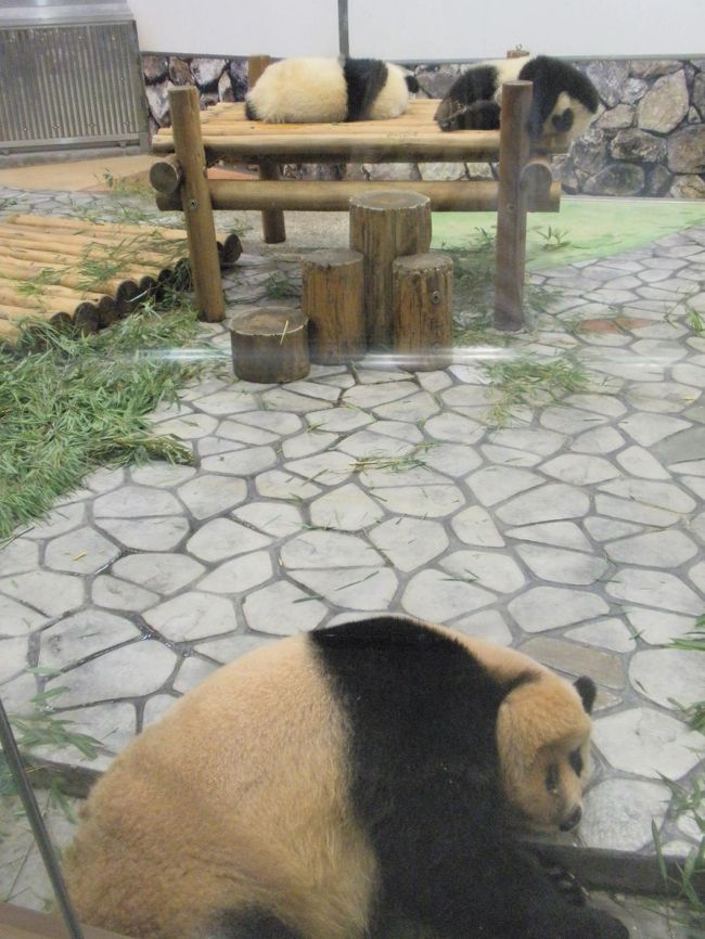 ママも寝ています。母子ともにお昼寝中。あすは、午前中にもう一度行ってみよう！