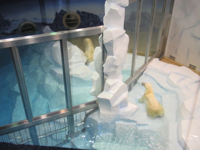 白熊くんもこどものほうがよく動いていて楽しい。