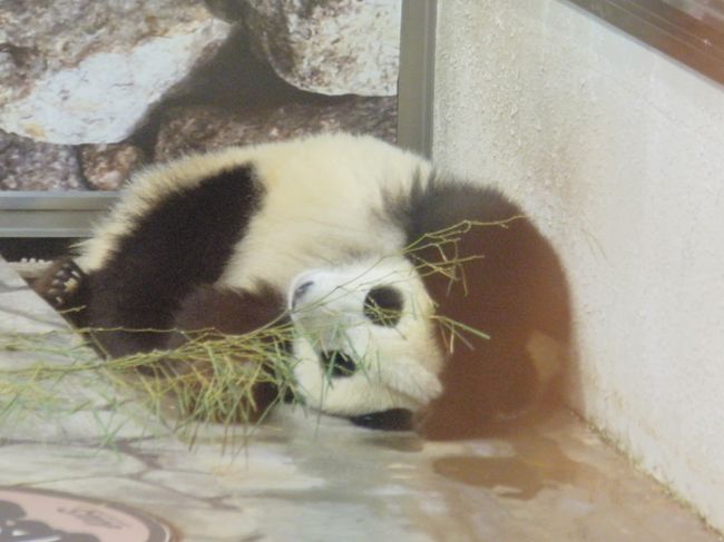 寝返り・・・。