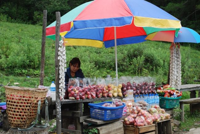 シムトカ・ゾンから30分ほど走ると、西ブータンから中央ブータンに向かう観光客のチェックポイント、ホンツォに到着します。リンゴ売りで有名な場所です。