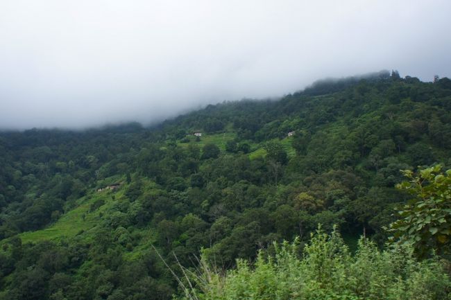 ウォンデュ・フォダンとトンサの間にそびえるブラック・マウンテン。<br /><br />ウォンデュ・フォダンからは、3300mのラワ・ラまで、再び2100mほどの登りです。この様子では、上の方はまた霧に包まれているのでしょうね。こわいなあ。