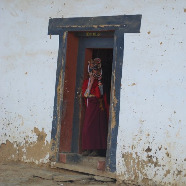 あ、お面をつけて出てきてくれました。