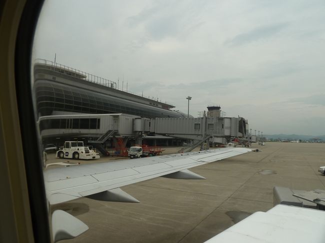 電子機器を使ってもОKになったので、ここからはいつもの様にデジカメで収めます。