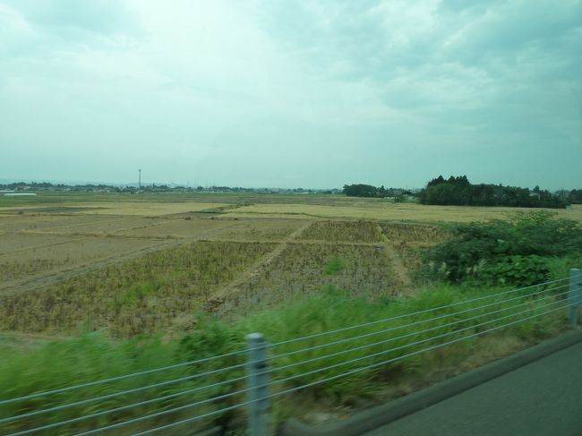 高速に乗り、約一時間のバスの旅です。<br /><br />窓の外にはここまで津波が来たのか、荒涼とした大地、津波によって流され壊された車の山、屋根にブルーシートの掛かった多数の家…<br /><br /><br />現実はまだまだ厳しいんだと、痛感します。<br /><br />