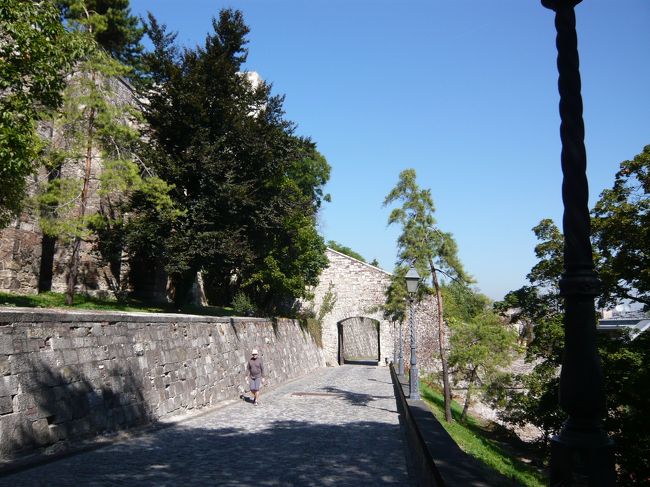 歩いてくさり橋方面へ。