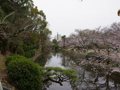 道後公園展望台