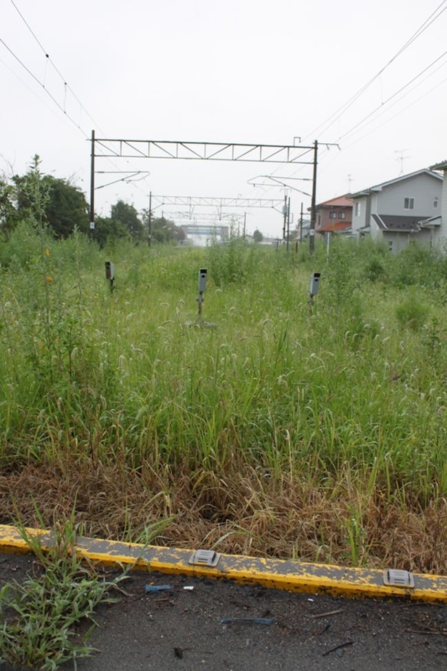踏切より<br /><br />線路に雑草が茂ってしまっています。