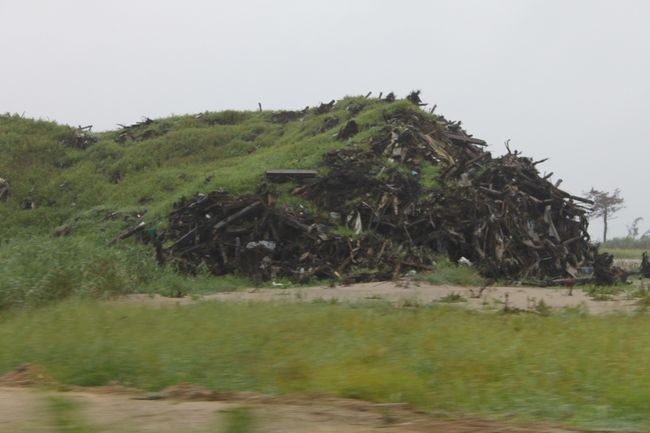 瓦礫に、雑草が生えてしまっています。<br /><br />ショックでした