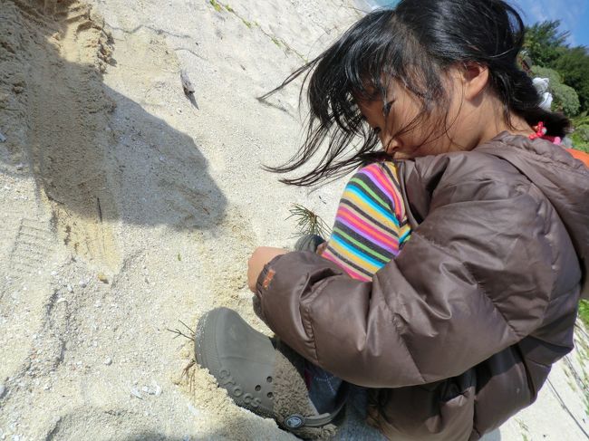 ヤドカリ探し中。