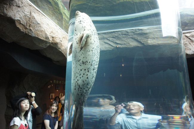 先ずはあざらし館