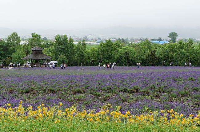 ラベンダーで有名なファーム富田へ