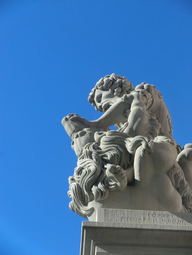 青空に生える・・・三毛論者路？？？でもない・・・