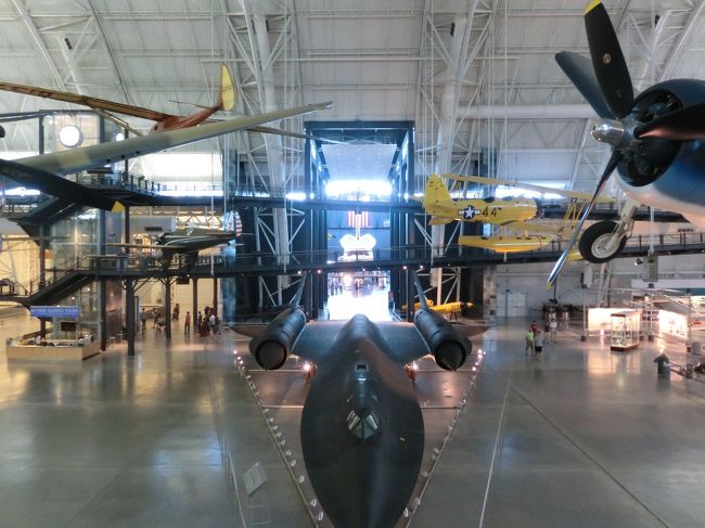 まず、まっさきに見えてくるのがブラックバード！<br />子どもたちの目的の一つ。<br /><br />