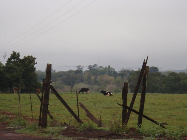 ＜8月22日＞<br />サンパウロからイグアスへ。<br />WEBJET 6702便　15:10サンパウロ発　17:05フォス・ド・イグアス着<br /><br />雨も降っていたので、タクシーでホテルへ。<br />ホテルの近くにある牧場