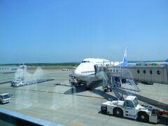 新千歳空港に到着
空の青さに期待が広がります。

空港を出ると、暑い。。