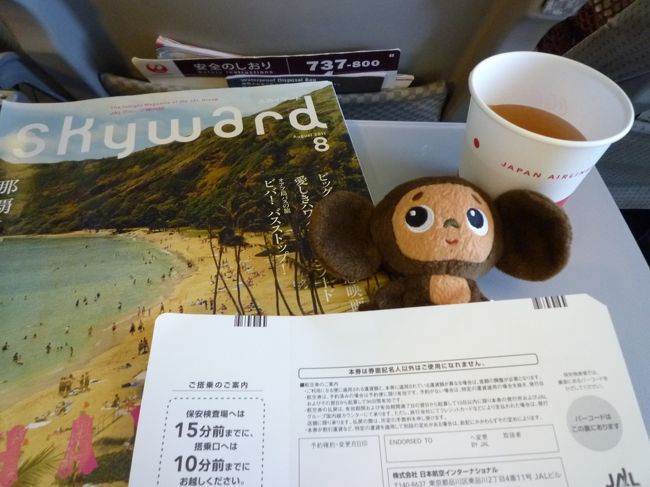 ＪＡＬ便は基本、飲み物が無料で嬉しいです！
