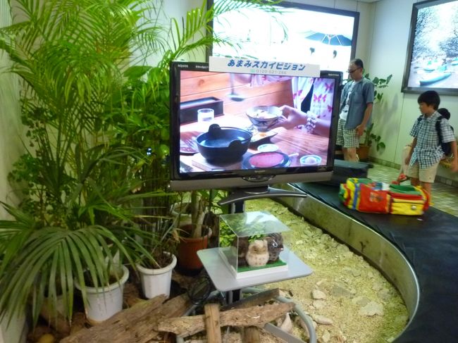 鶏飯が美味しそうです！<br />絶対食べるぞ！！