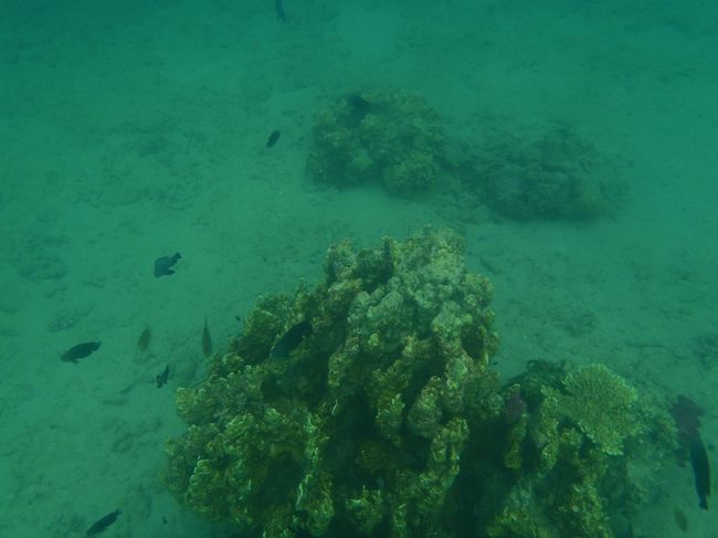 今回、予約していたダイビングは、台風の接近でボートが陸揚げされて、海に出られないので中止に・・。<br />ビーチエントリーで、この海岸に潜っているショップもあったので残念です。