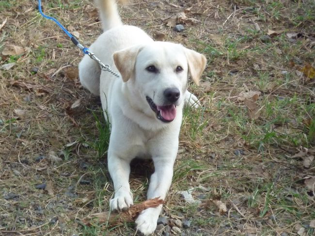 この表情！！<br />愛らしい！！