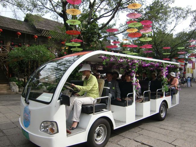 料金を支払うとカートで回ることができます。<br />カートでさらっと回っても３０分以上はかかるという広さです。<br />ガイドさんに直ぐカートを頼んでもらいました。