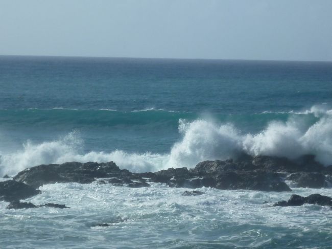 今日は一段と波が高いです！