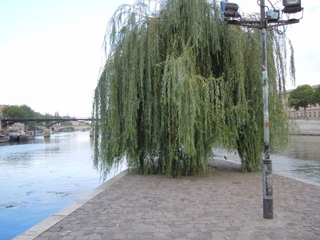 ５日目の金曜日　スタートはシテ島の先端<br />ヴェール・ギャラン広場<br />のだめに出てきた広場です。<br />サントシャペルがあくまで時間があったので訪れました。<br />