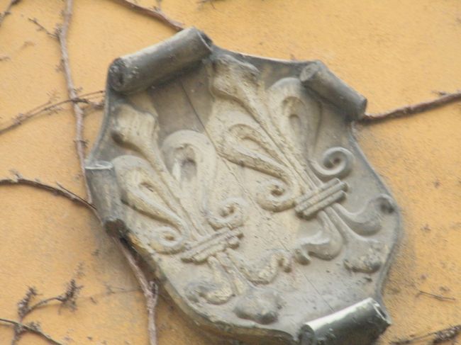 よく見ると、フッガー家の紋章が。