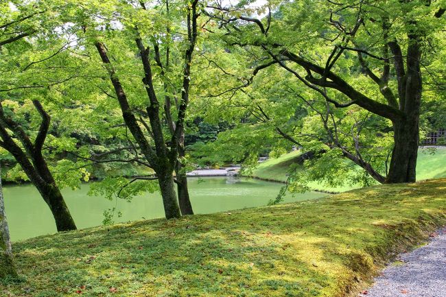 京都の御所と離宮(2) 仙洞御所~四季の自然を愛でる庭~』二条 京都の御所と離宮(2) 仙洞御所~四季の自然を愛でる庭~』二条