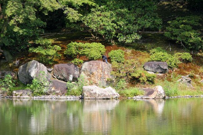 京都の御所と離宮(2) 仙洞御所~四季の自然を愛でる庭~』二条 京都の御所と離宮(2) 仙洞御所~四季の自然を愛でる庭~』二条