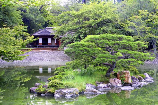 京都の御所と離宮(2) 仙洞御所~四季の自然を愛でる庭~』二条 京都の御所と離宮(2) 仙洞御所~四季の自然を愛でる庭~』二条