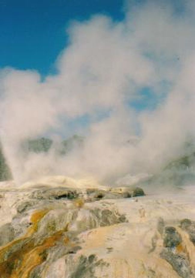大迫力の間欠泉を間近で観られるテ・プイア。<br />園内をぐるっと一周するようになっていて、日本語の音声案内装置もありました。<br /><br />ロトルアは火山地帯なのでスパもたくさんあり、ニュージーランドの別府温泉という感じです。<br />