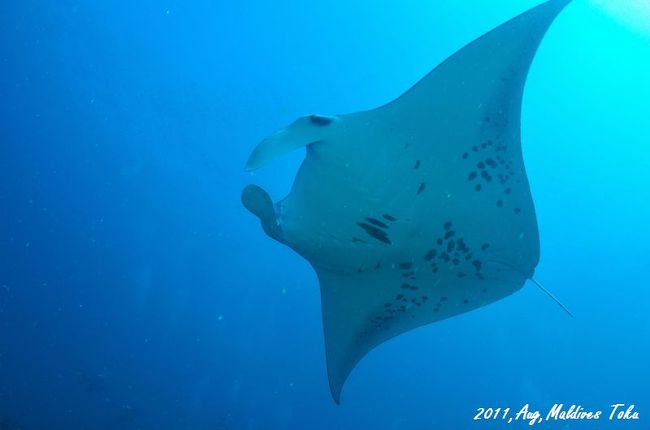 もっとアップ！