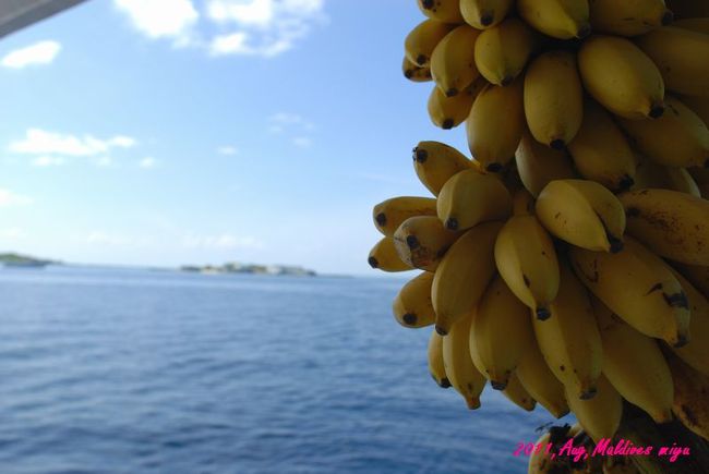 バナナが掛けられていて、好きな時にもいで食べられる！<br />あと、コーヒー・紅茶・ココアは、好きな時に飲めるように<br />設置してある。