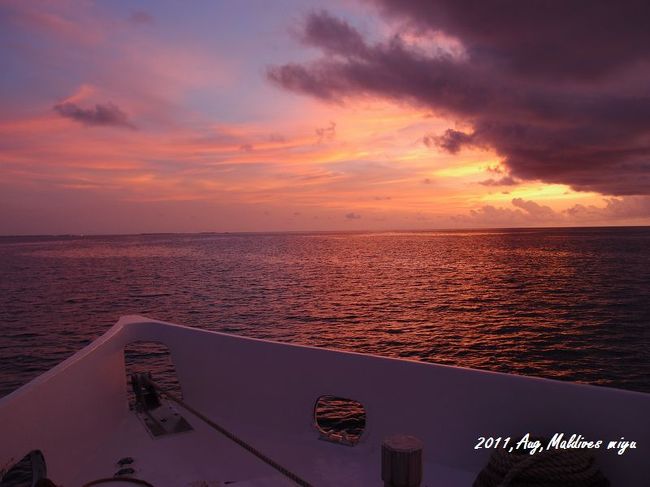 ジンベイとの出会いに興奮おさまらず、エキジットしたあとも<br />みんな、テンション高！！<br /><br />３本目のダイビングが終わり、宴会スタート。<br /><br />ちょっと抜け出してお気に入りの３Fデッキで夕日を見ていた。<br />神様がいるならば、心からありがとうと言いたい。<br /><br />また、どこかの海で出会えるだろうか･･･。<br />夢に出てきて〜ジンベイちゃん！