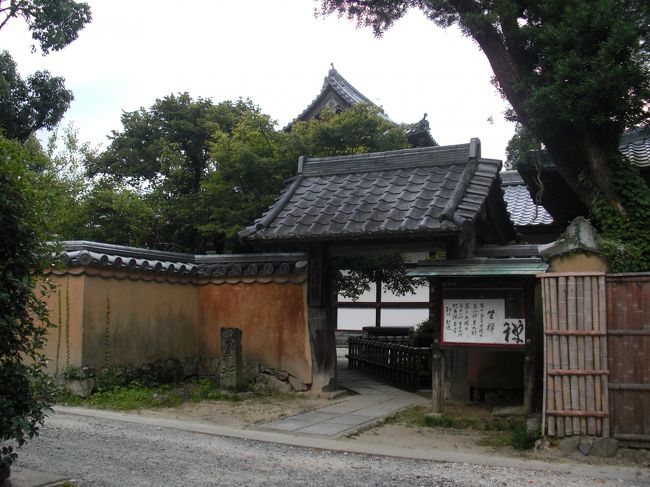寒紅梅酒造 寒紅梅 純米60 早咲き生 | 日本酒 | 山形の地酒通販