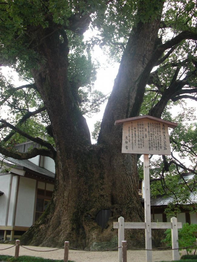 福岡1】 梅の季節じゃなくても梅づくし ～太宰府天満宮