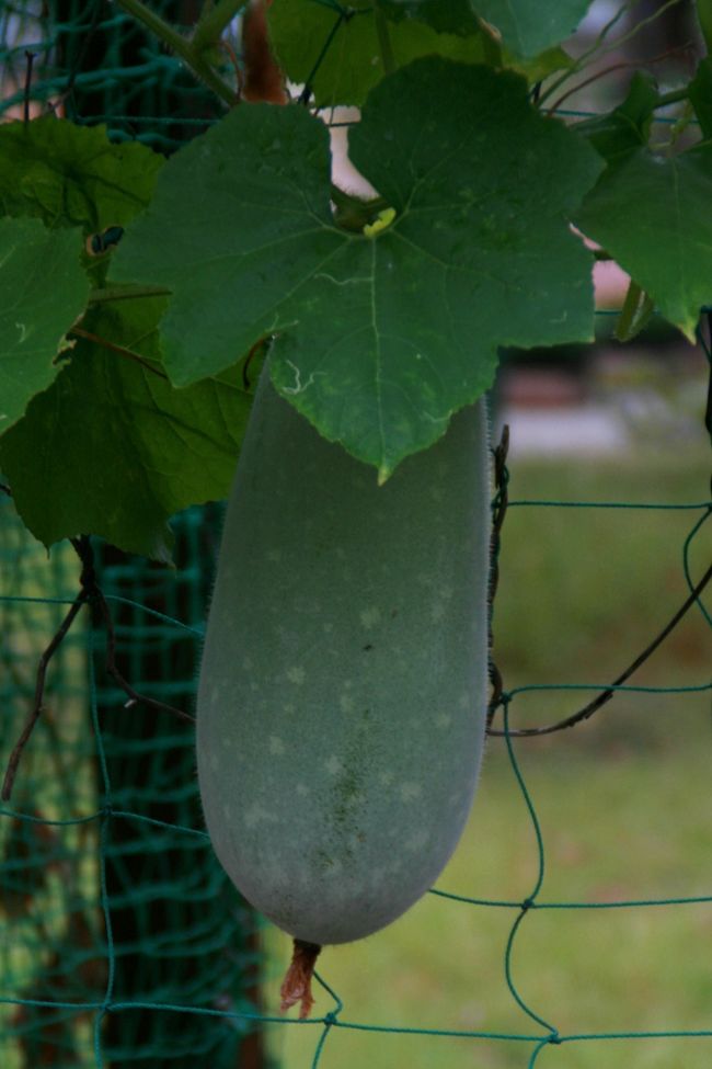 ▼呉ポートピアパーク<br /><br />　