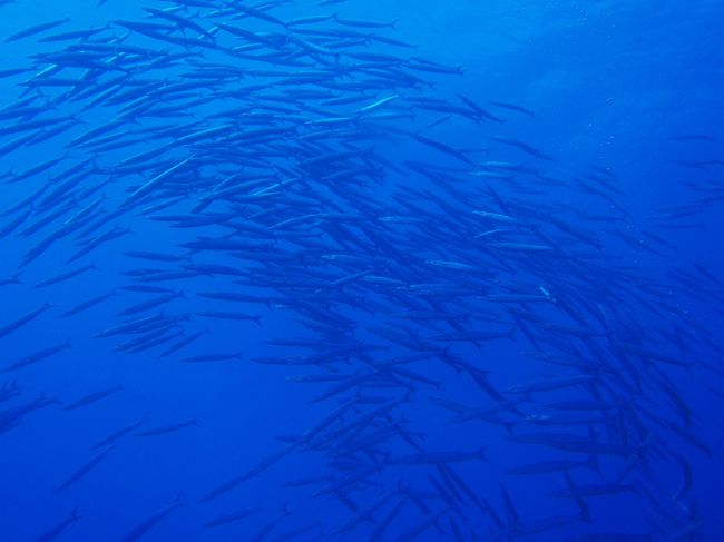 たまらん〜〜〜