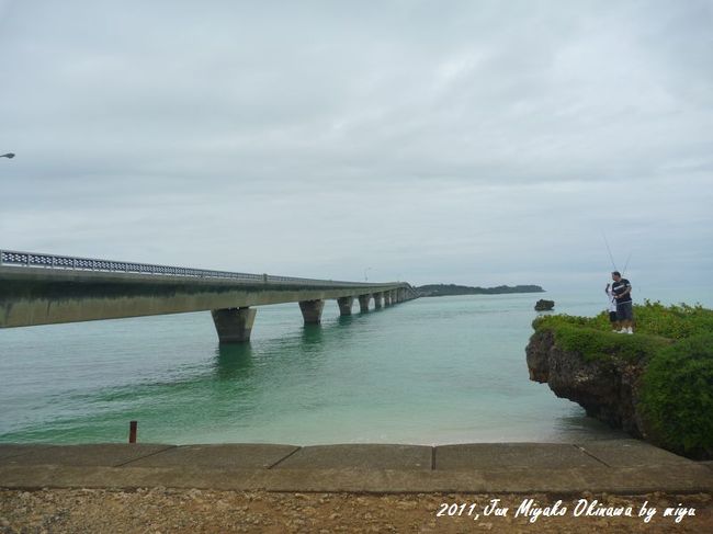 池間大橋を撮影できるポイント。<br />曇ってはいたが、とてもきれいでした。晴れていたらもっと<br />もっと美しいことでしょう。