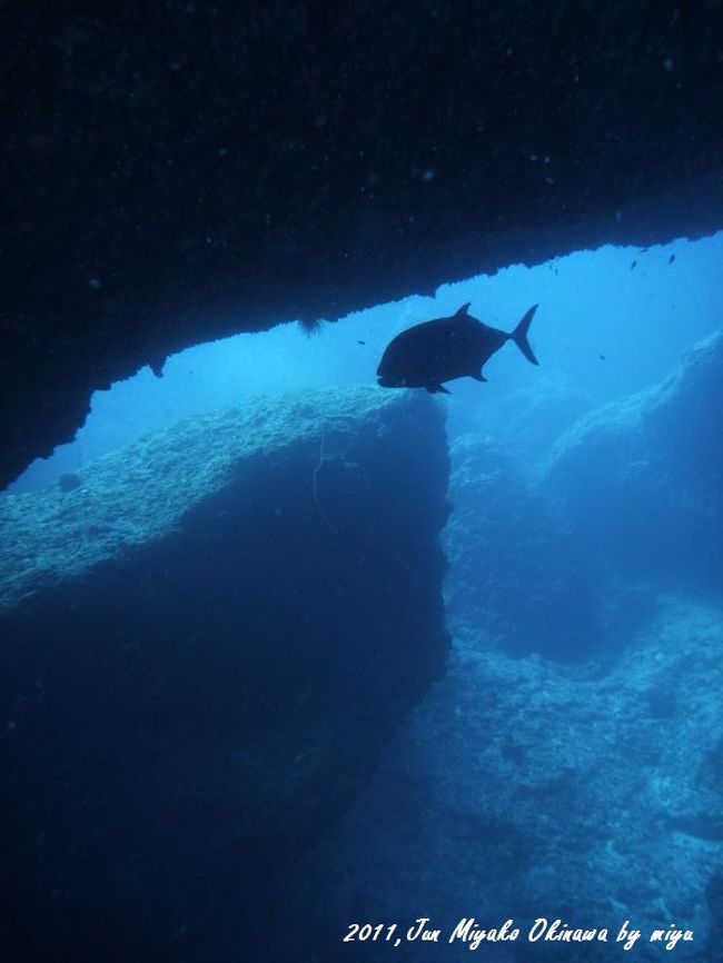 ロウニンアジさんが、ちらっと来てくれました☆<br />どこを撮っても絵になる！腕は、無いが素晴らしい地形です。